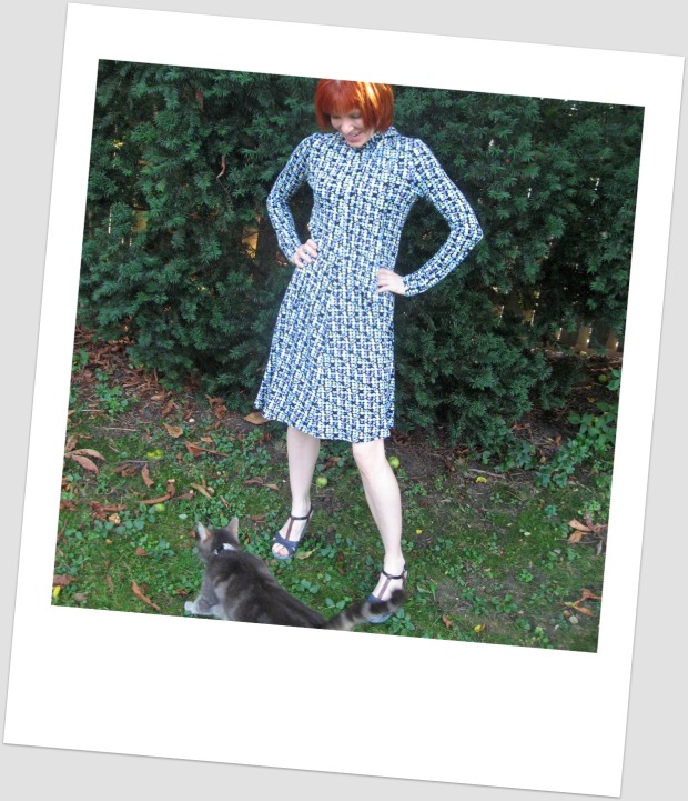 DVF blue knit dress cat bombed polaroid