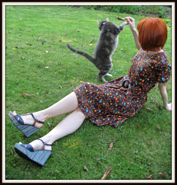 DVF brown polka dot knit dress Go Kitty (2)
