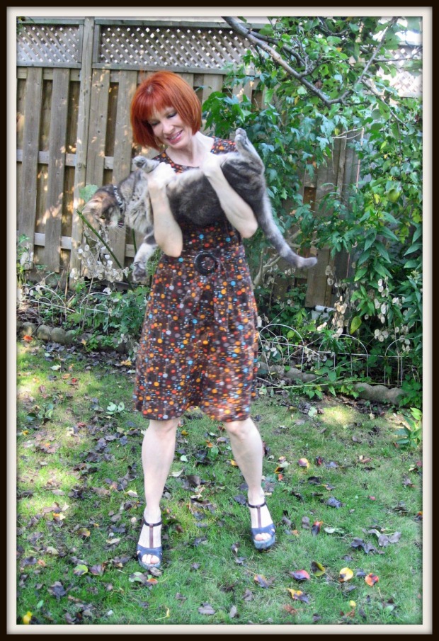 DVF brown polka dot knit dress Who Loves Kitty (2)